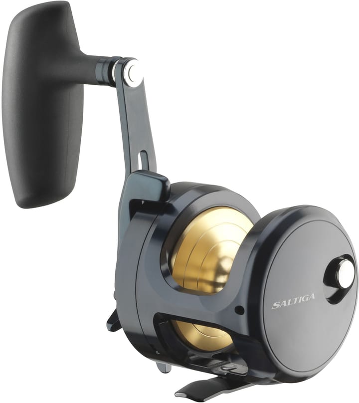 Daiwa 24 Saltiga (G) Daiwa