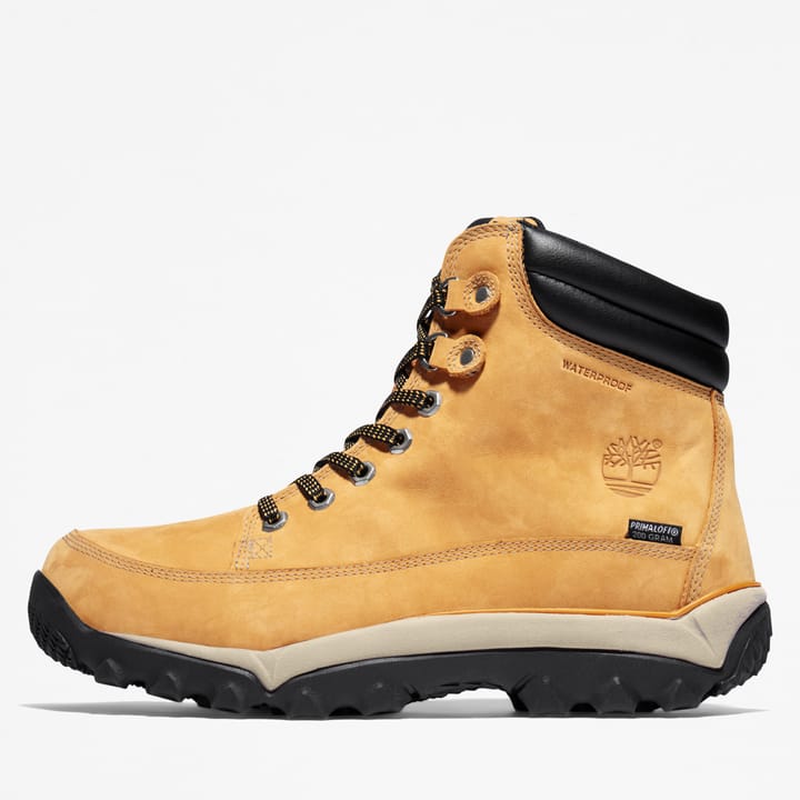 Timberland Rime Ridge Mid Boot for Men