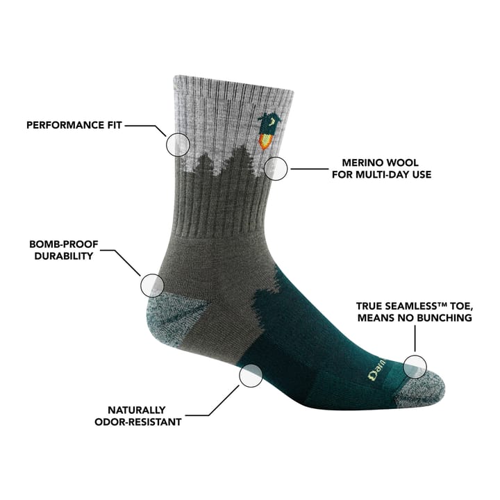 Darn Tough Men's Number 2 Micro Crew Midweight Hiking Sock Gray Darn Tough