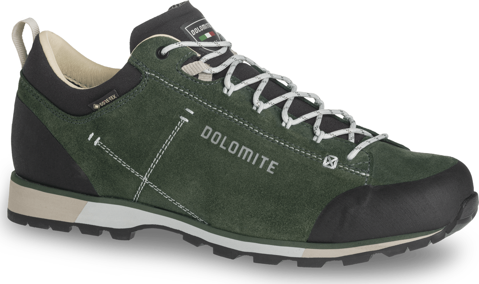 Dolomite Men's 54 Hike Low Evo GORE-TEX Olive Green