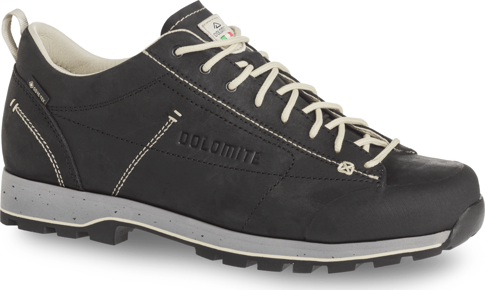 Dolomite Unisex Dolomite 54 Low FG EVO GORE-TEX Black