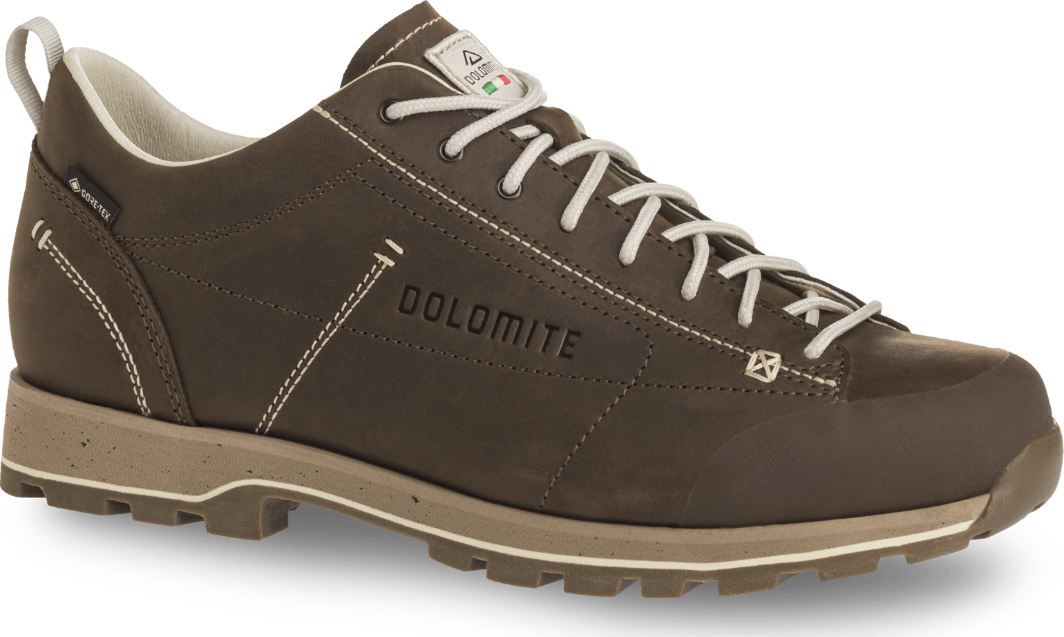 Dolomite Unisex Dolomite 54 Low FG EVO GORE-TEX Dark Brown