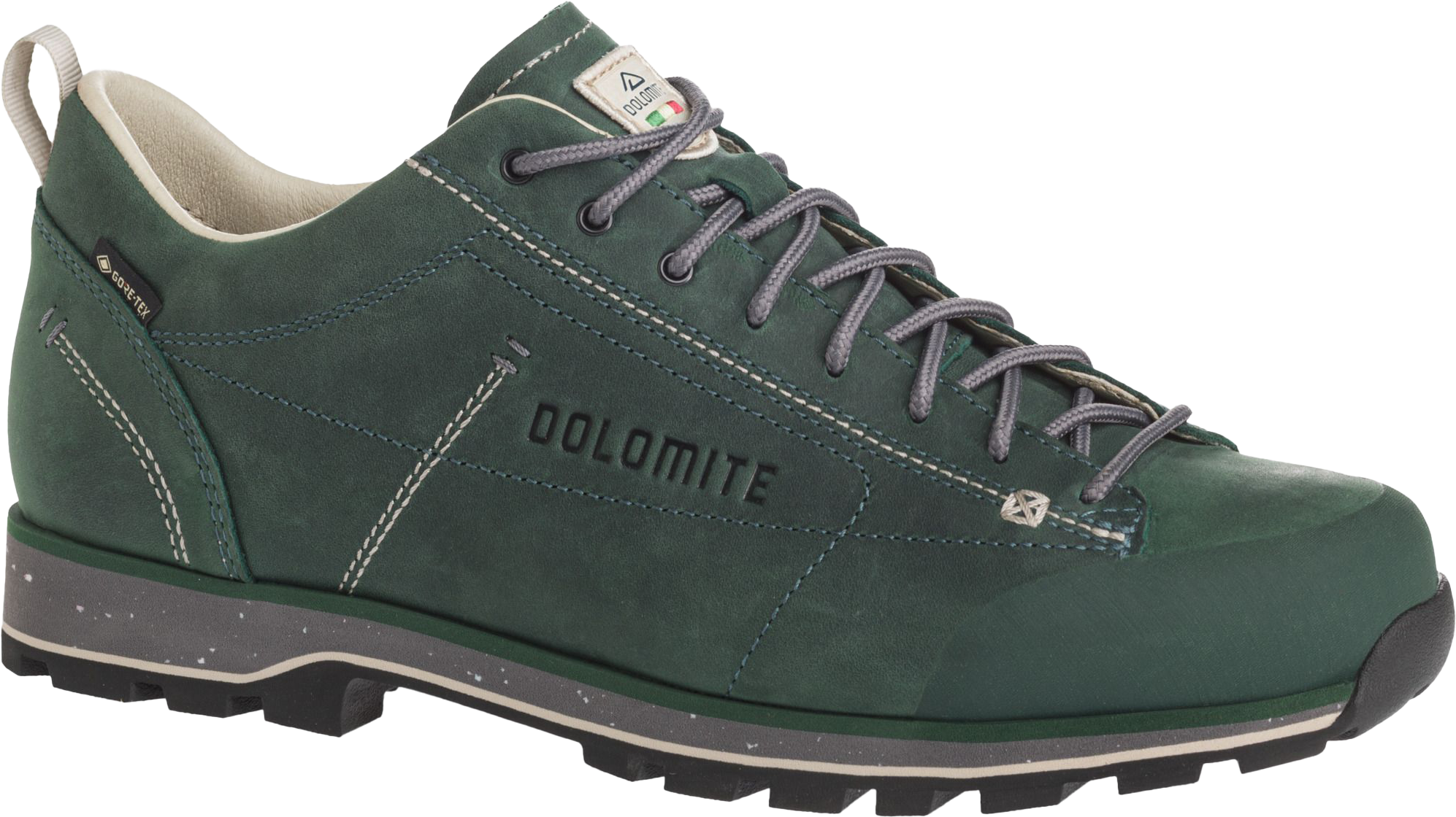 Dolomite Unisex Dolomite 54 Low FG EVO GORE-TEX Dark Green