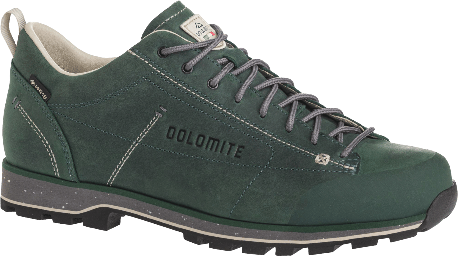 Dolomite Unisex Dolomite 54 Low FG EVO GORE-TEX Dark Green