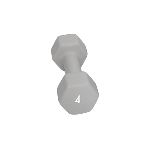 Abilica DumbBell 4 kg Grey Abilica