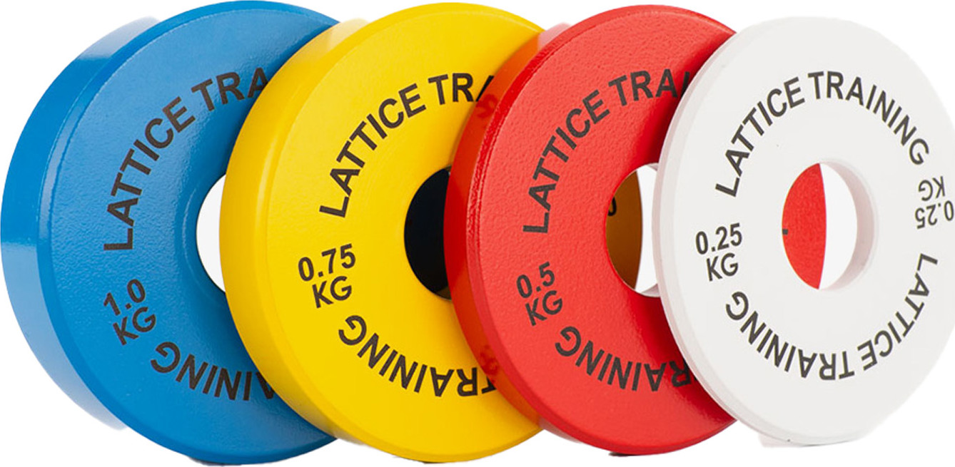 Lattice Training Fractional Weight Plates Multi Colour