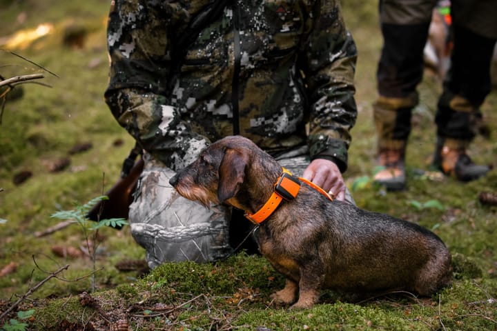 Tracker Tracker Bark Black/Orange Tracker