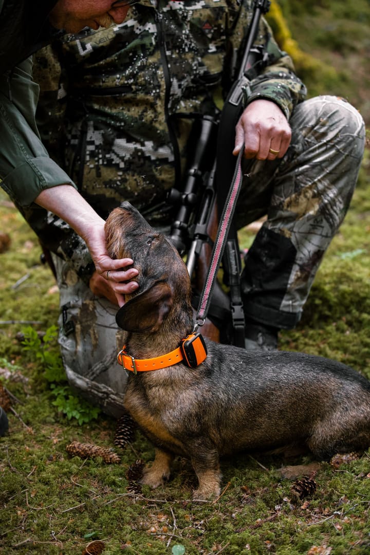 Tracker Tracker Bark Black/Orange Tracker