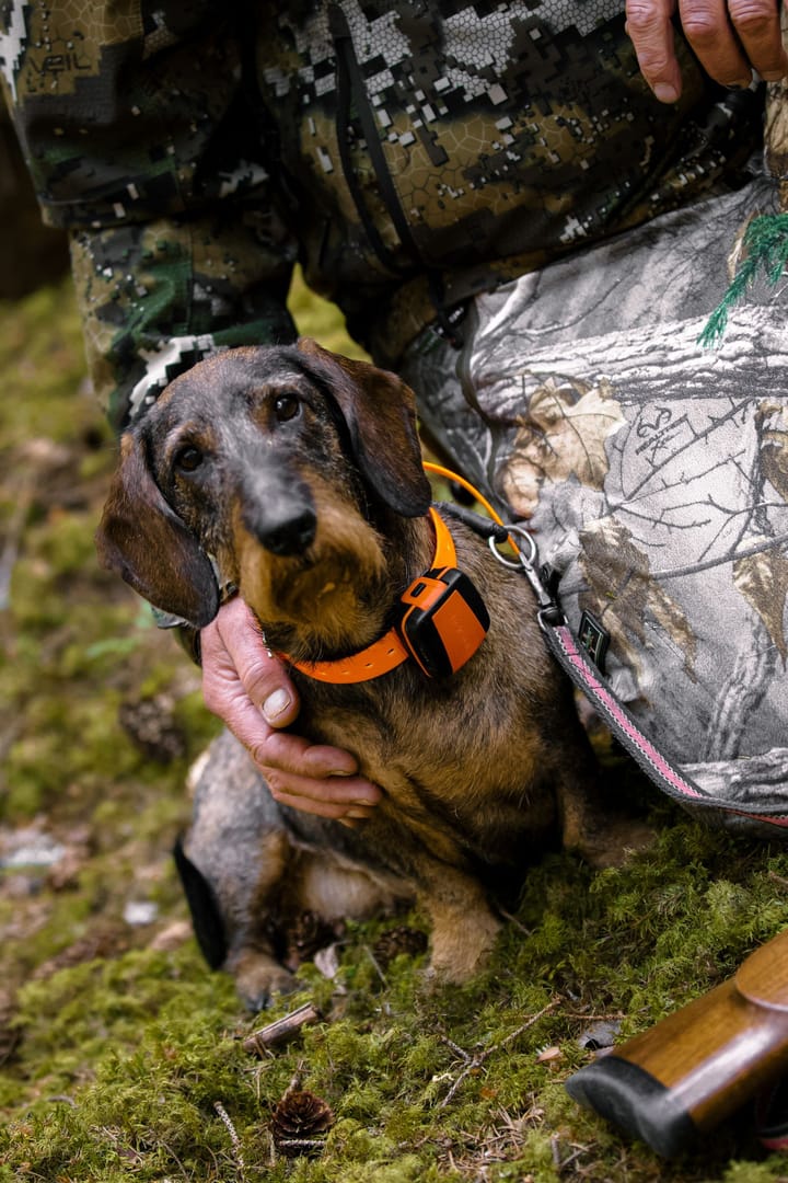 Tracker Tracker Bark Black/Orange Tracker