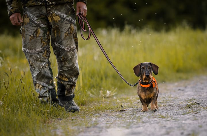 Tracker Tracker Bark Black/Orange Tracker