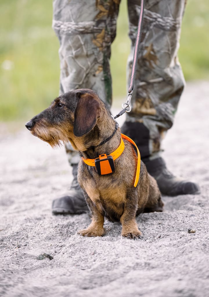 Tracker Tracker Bark Black/Orange Tracker