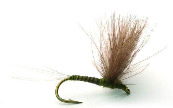 Umpqua Flies Cdc Biot Comparadun Olive Umpqua Flies