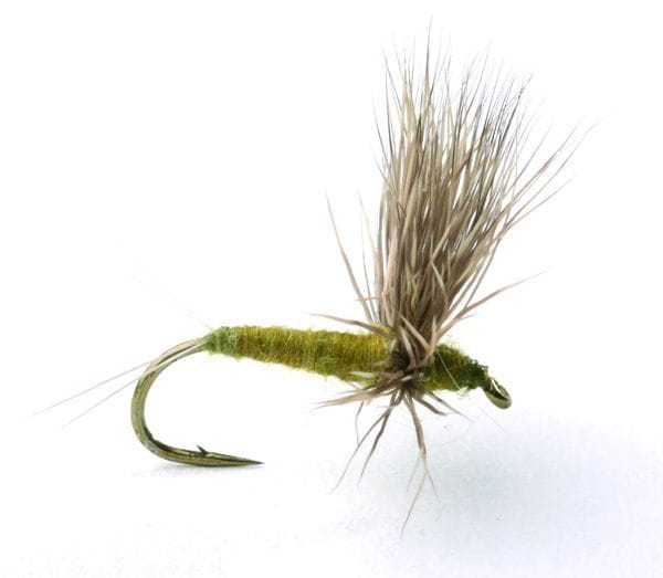 Umpqua Flies Comparadun Bwo Olive Umpqua Flies