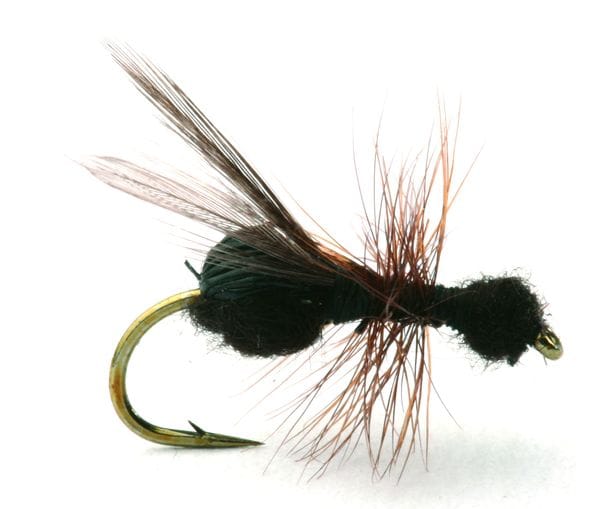 Umpqua Flies Flying Ant Black Umpqua Flies