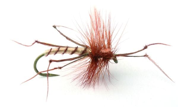 Umpqua Flies Daddy Long Legs #10 Kjøp 12 Fluer Få Gratis Flueboks Red/white Umpqua Flies