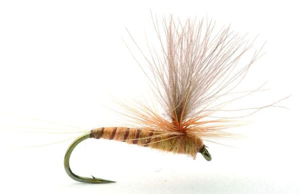 Umpqua Flies Aurivilli Sand/orange Umpqua Flies