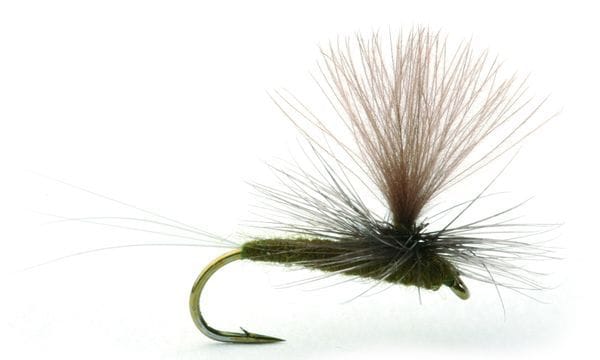 Umpqua Flies Baetis Dark Olive Umpqua Flies