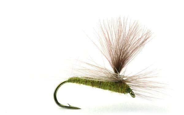 Umpqua Flies Baetis Medium Umpqua Flies