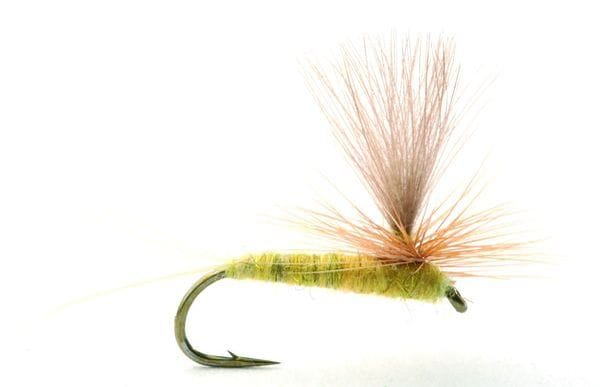 Umpqua Flies Sulphurea #12 Kvalitetsfluer Fra Kjente Leverandører Light Green/yellow Umpqua Flies