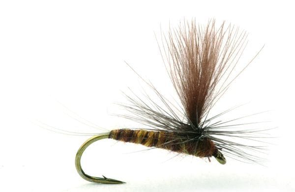 Umpqua Flies Marginata Brown/sand Umpqua Flies