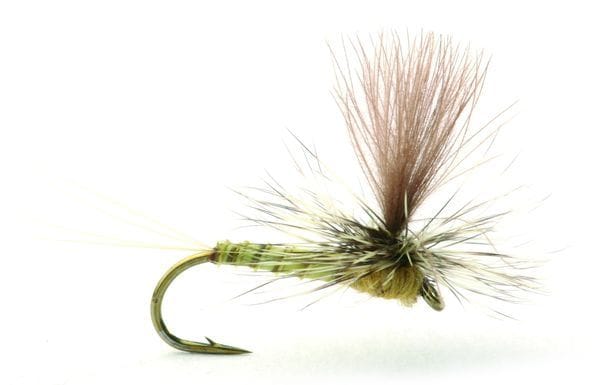 Umpqua Flies Biot Dun Olive Umpqua Flies