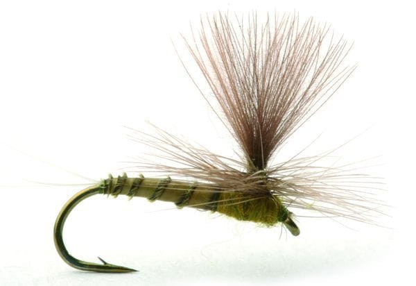 Umpqua Flies Biot Dun Olive Umpqua Flies