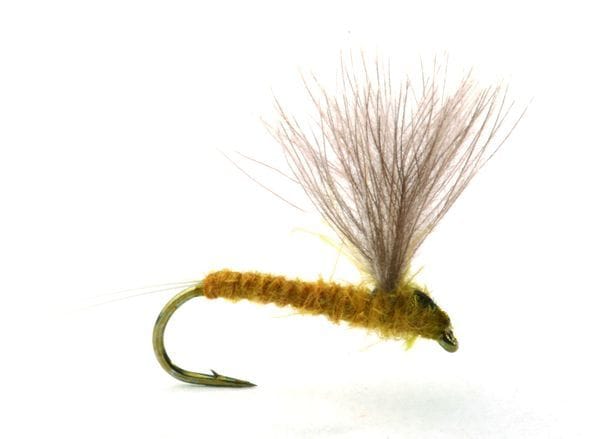 Umpqua Flies Rune'S Cdc No-Hackle Light Olive Umpqua Flies