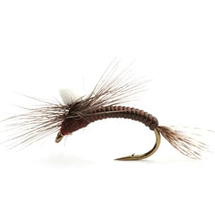 Umpqua Flies Leptoklekker Brown Umpqua Flies