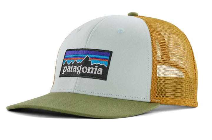 Patagonia P-6 Logo Trucker Hat Wispy Green Patagonia