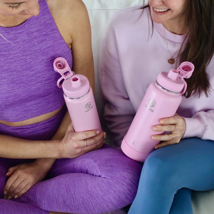 Takeya Actives Insulated Bottle 700ml  Pink Lavender Takeya