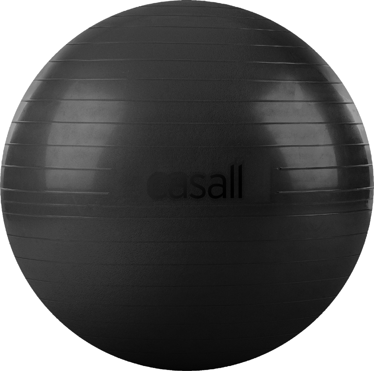 Casall Exercise Ball 60-65 cm Black