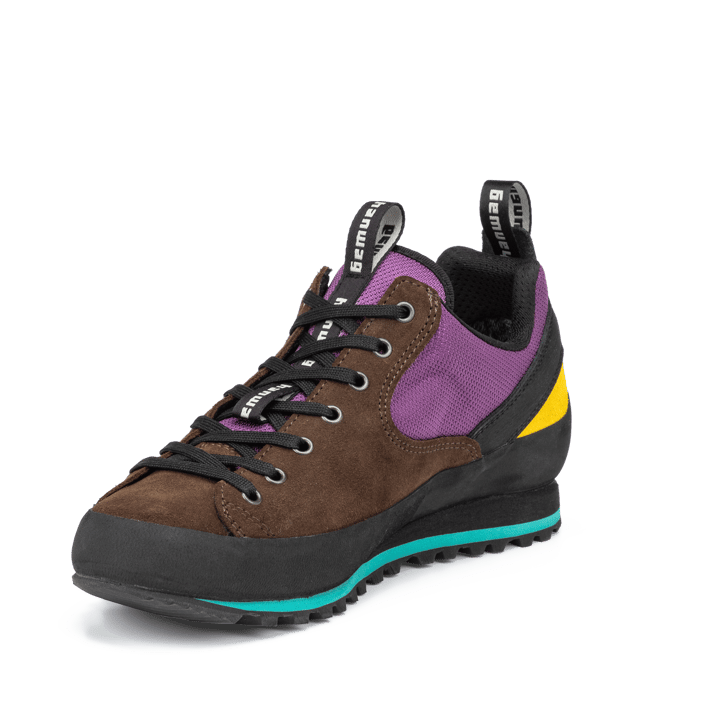 Hanwag Men's Rotpunkt Low Gore-Tex Brown/violet Hanwag