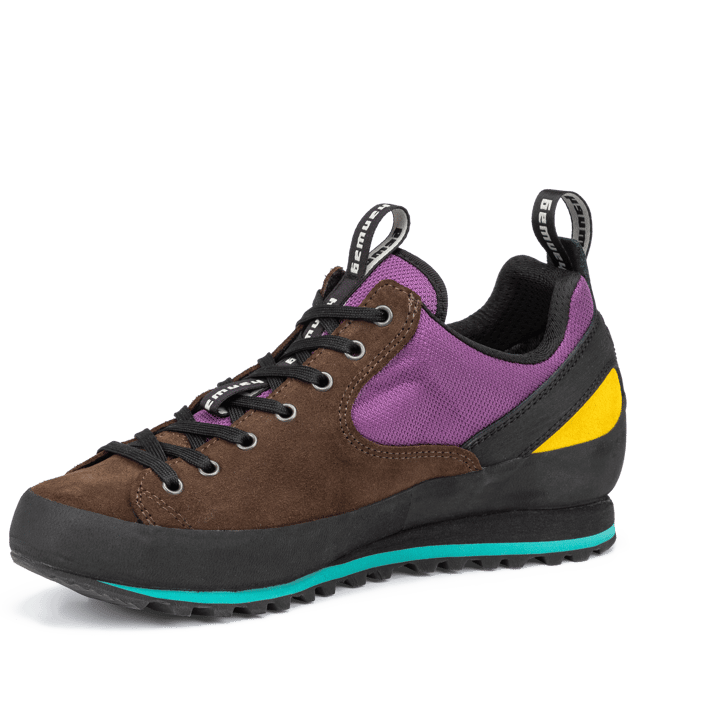 Hanwag Men's Rotpunkt Low Gore-Tex Brown/violet Hanwag