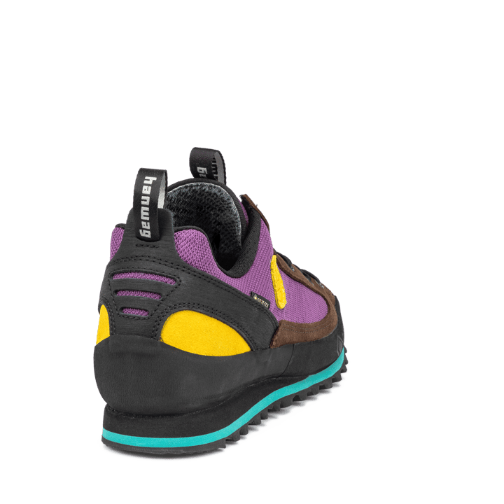 Hanwag Men's Rotpunkt Low Gore-Tex Brown/violet Hanwag