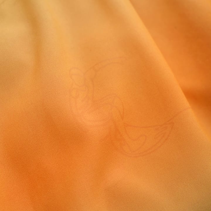 Color Kids Swim Shorts, Aop & Magic Orange Pop Color Kids