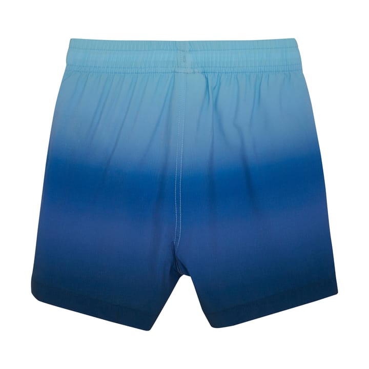 Color Kids Swim Shorts, Aop & Magic Delft Color Kids