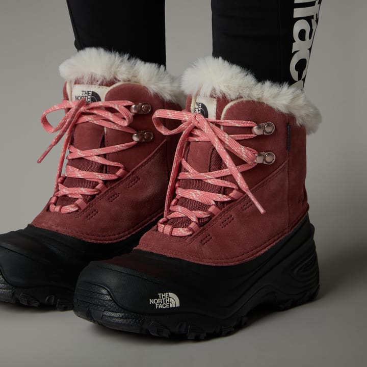 The North Face Kids' Shellista V Lace Waterproof Snow Boots Canyon Dust/Terracotta The North Face