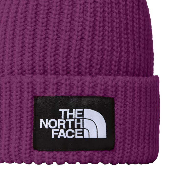 The North Face Kids' Salty Dog Beanie Deep Mulberry The North Face