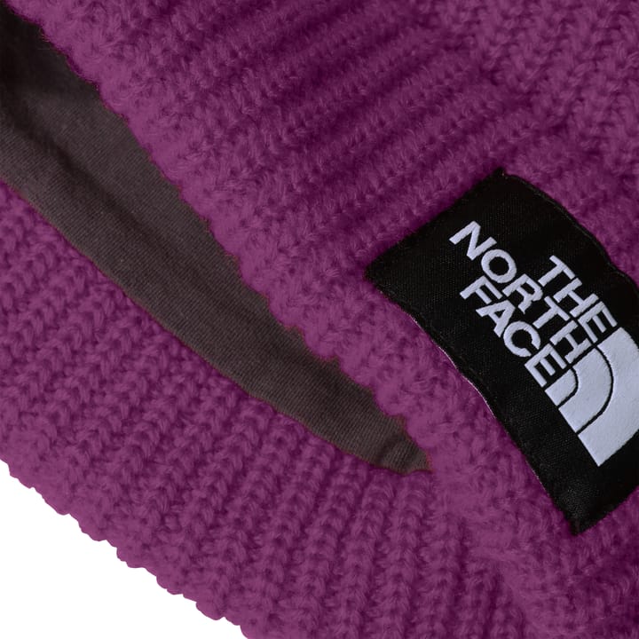 The North Face Kids' Salty Dog Beanie Deep Mulberry The North Face