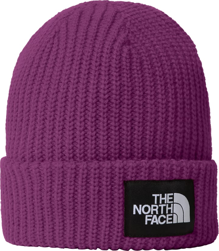 The North Face Kids' Salty Dog Beanie Deep Mulberry The North Face