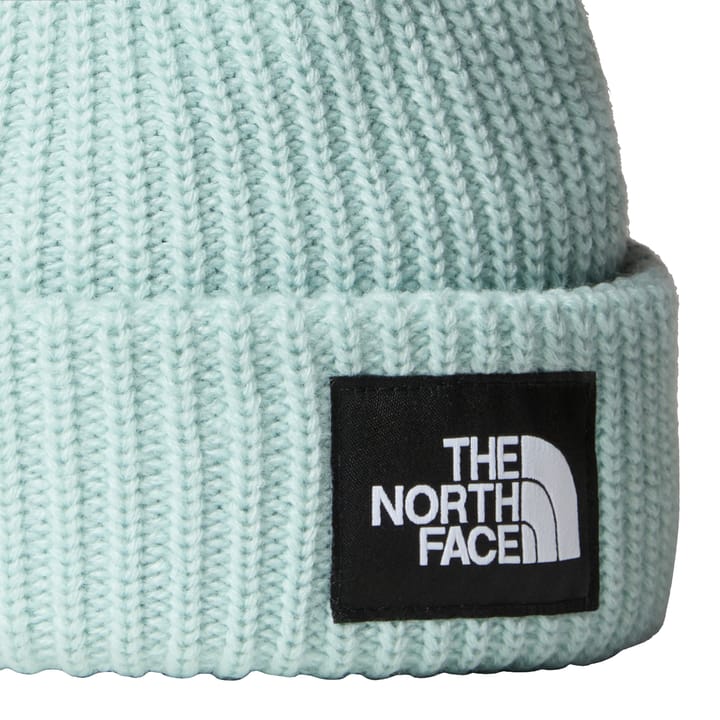 The North Face Kids' Salty Dog Beanie Muted Pine The North Face