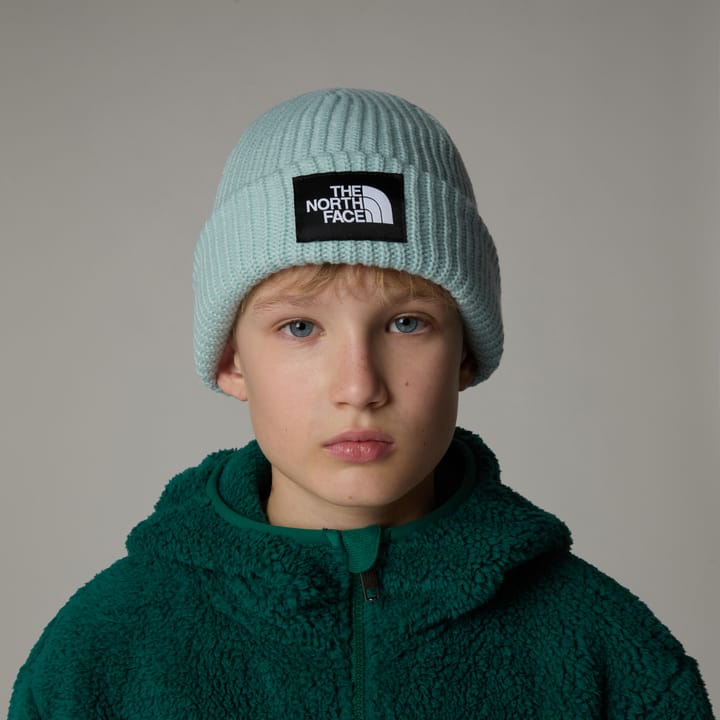 The North Face Kids' Salty Dog Beanie Muted Pine The North Face