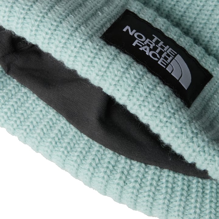 The North Face Kids' Salty Dog Beanie Muted Pine The North Face