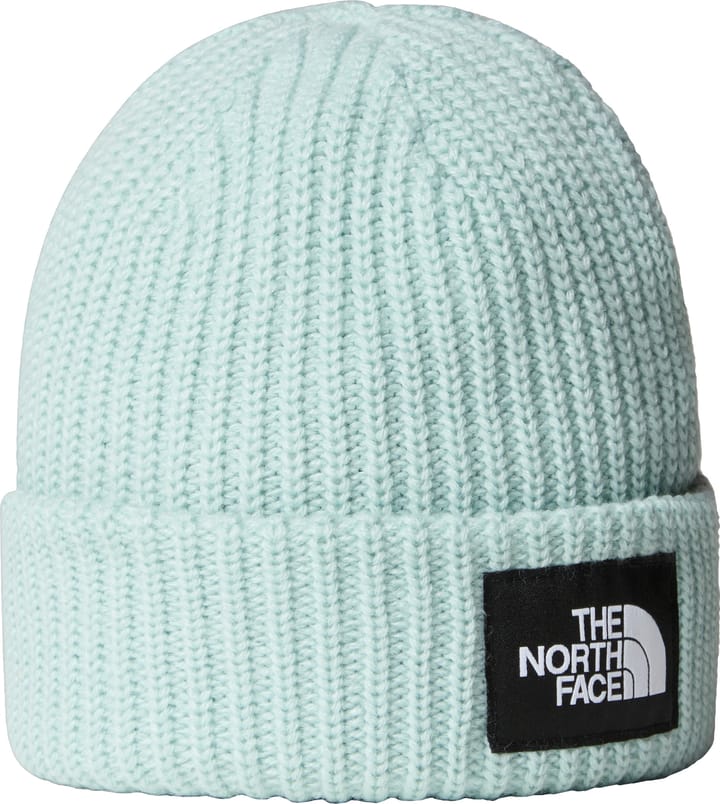 The North Face Kids' Salty Dog Beanie Muted Pine The North Face