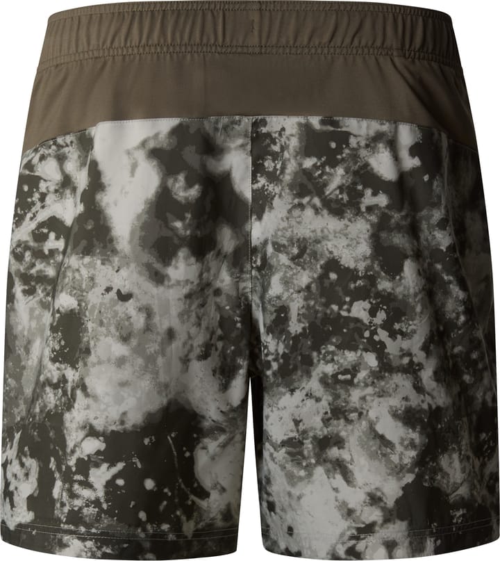 The North Face Men's 24/7 Printed Shorts Clay Grey Micro Halfdome Print/New Taupe Green The North Face