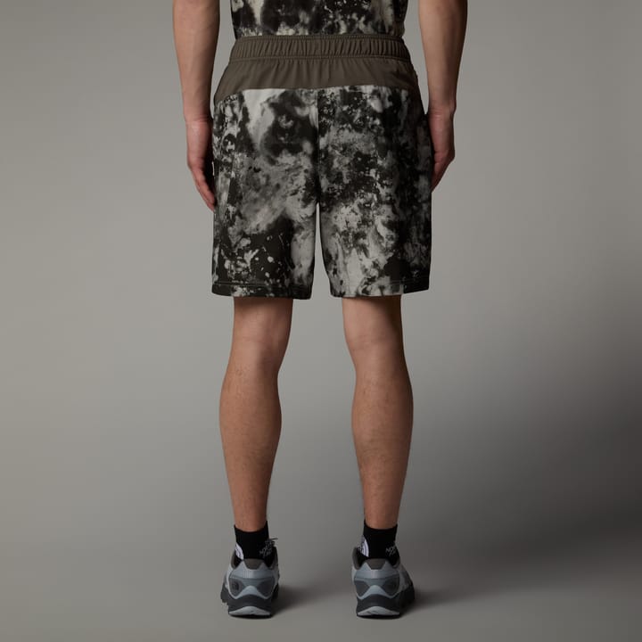 The North Face Men's 24/7 Printed Shorts Clay Grey Micro Halfdome Print/New Taupe Green The North Face