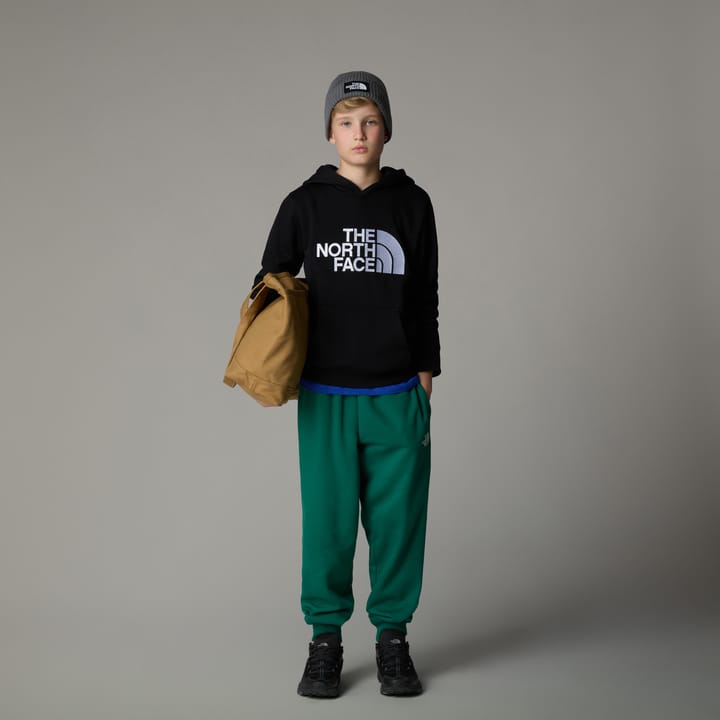 The North Face Boys' Drew Peak Hoodie TNF Black The North Face