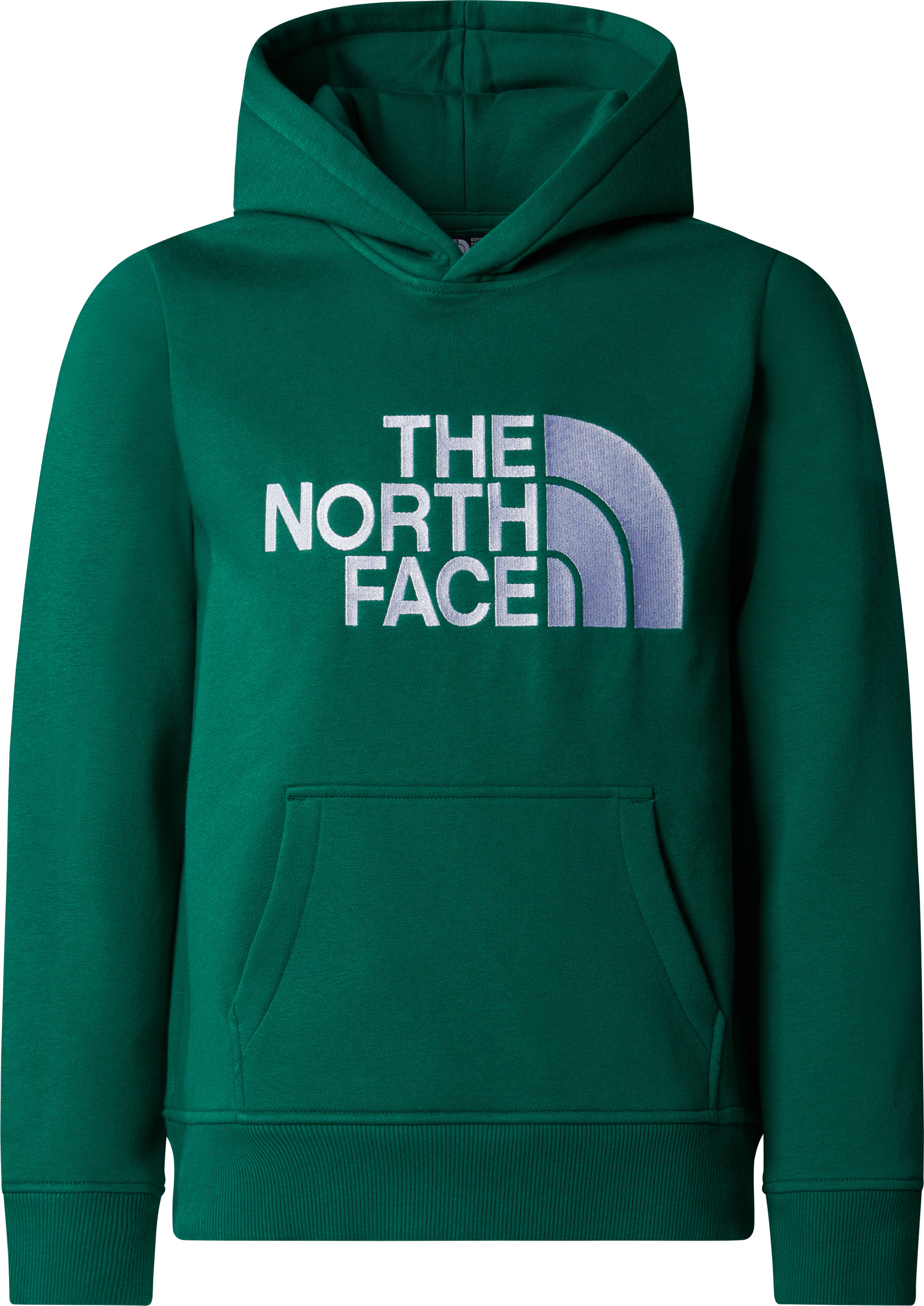 The North Face Boys’ Drew Peak Hoodie Evergreen