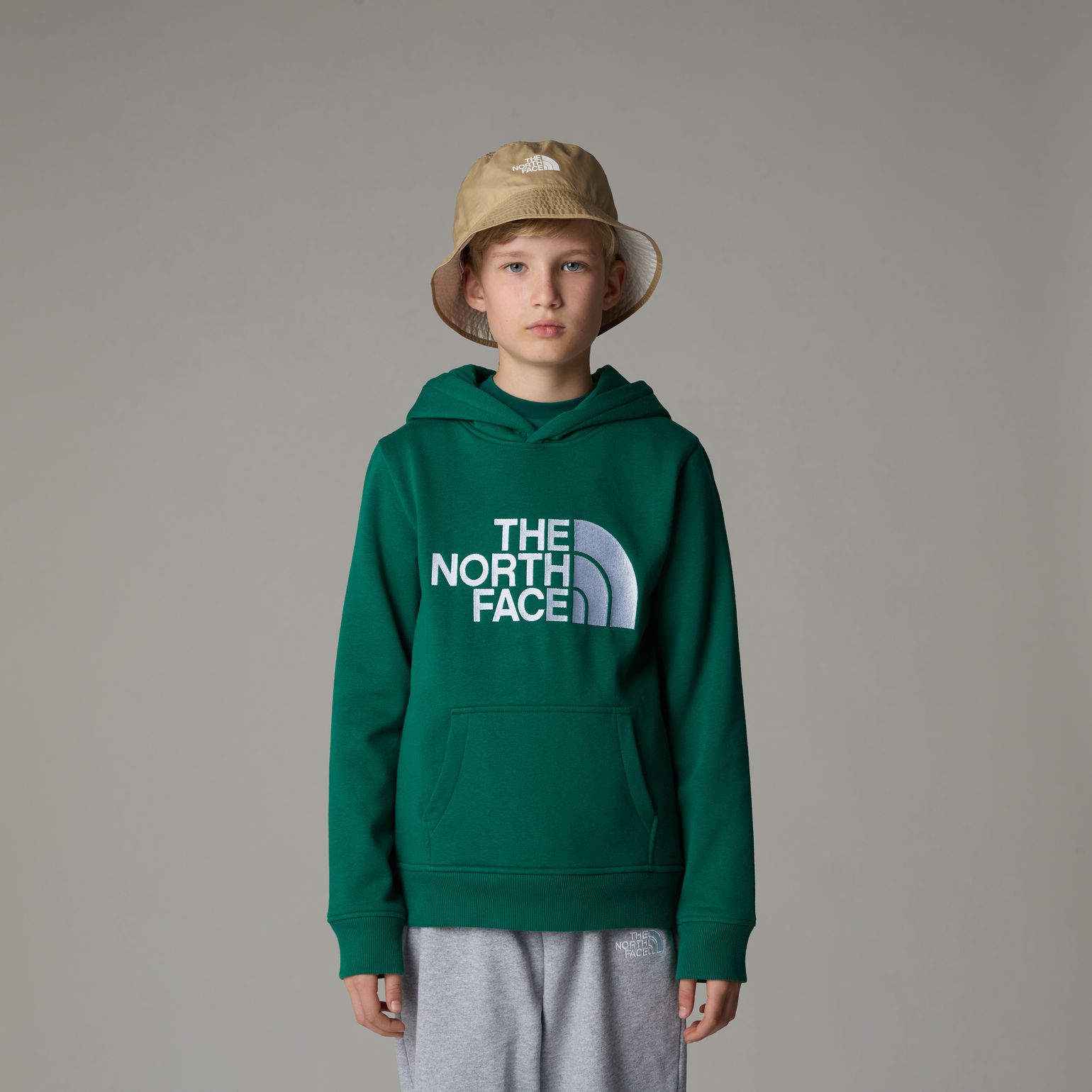 The North Face Boys' Drew Peak Hoodie Evergreen