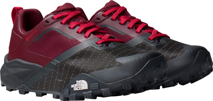 The North Face Women's Offtrail TR GORE-TEX Trail Running Shoes Alpine Plum/Asphalt Grey The North Face